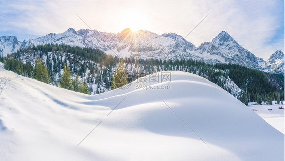 雪中覆盖着奥斯特里亚的山羊和森林照片在奥斯特里亚的厄尔沃德hrwald拍摄图片