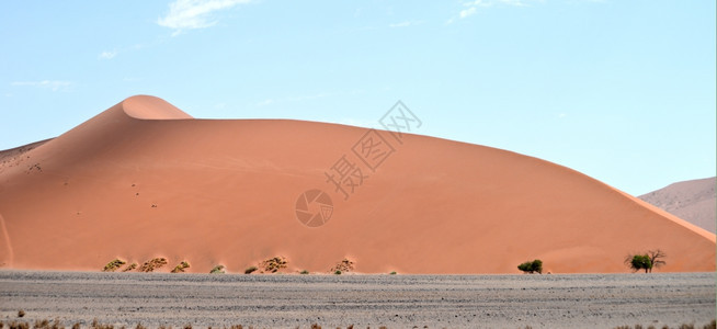 纳米比亚的美丽沙丘45图片