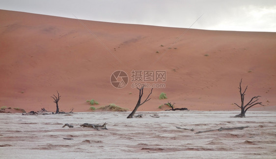 沙丘沙漠图片