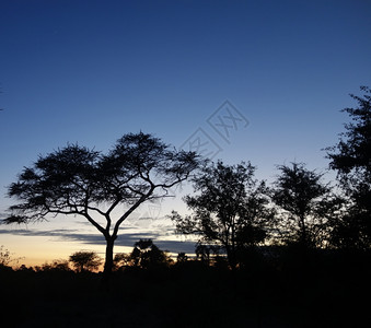 非洲日落图片