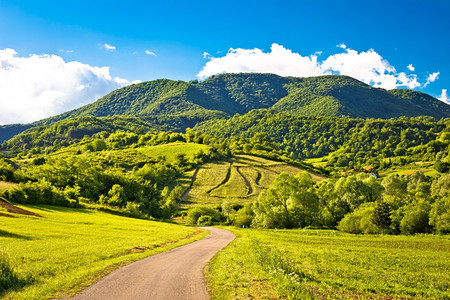 普利维卡山丘赞贝拉克罗提亚的春季风景图片