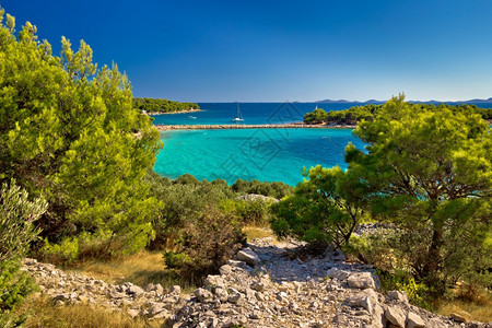 穆尔特岛达马提亚croati岛的美丽绿宝石海滩图片