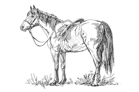 党员的权利和义务雕刻插画