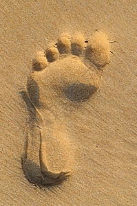 沙滩上人的脚印图片