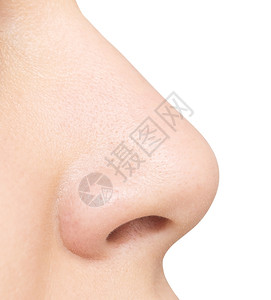 白色背景上孤立的鼻子图片素材