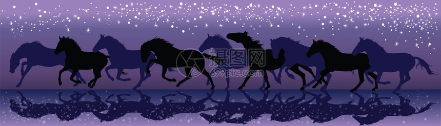 在恒星矢量插图下夜里黑马在下奔驰图片
