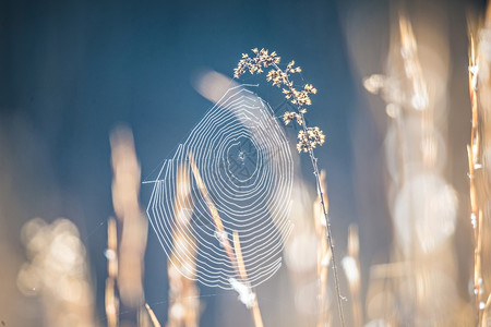 错综复杂的人际关系网背景