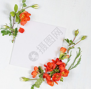 婚礼或家庭相册的剪布页带有红色沙内美雅波尼卡花和浅木背景绿叶的框架顶视平躺俯图片