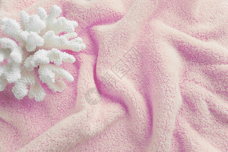 棉色粉毛巾背景上美丽的白海珊瑚被浪压碎图片