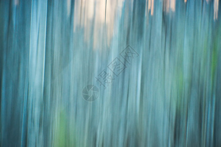 日落时厚重林木的抽象数字绘画背景图片