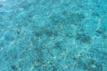 海水或洋含透明的蓝水图片