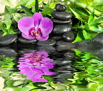 含有黑色巴萨按摩石粉红兰花和绿叶的温泉概念其黑底水滴覆盖在小浪的水面上其黑底滴在面反映为小浪的水面图片
