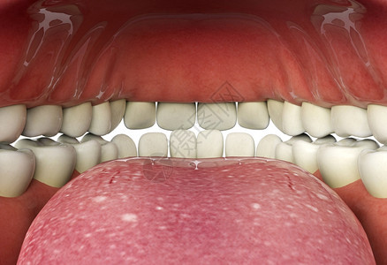 人体口腔内部特写口腔健康概念3d渲染图片