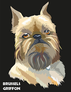卡通可爱的狗肖像图图片