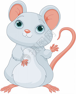 寓言插图可爱老鼠插图插画