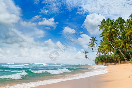 海洋闪光沙滩和蓝天空图片