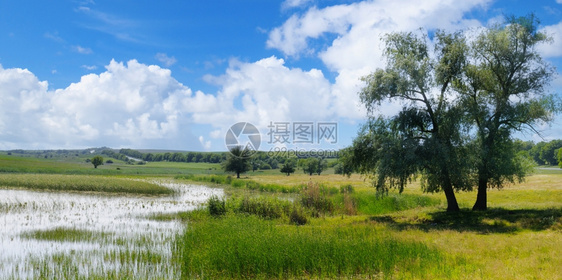 一个古老的湖有水生植被和光化草原图片