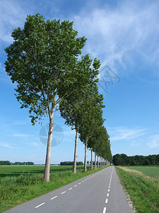 夏月有蓝天在霍兰的dutchnordstper和utcholan和utch的树条中图片