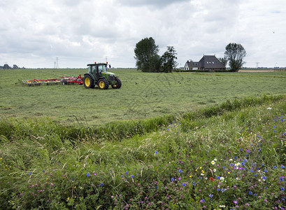 Leuwardn附近薯条和夏花的杜切省土兰农场附近有拖拉机的草转手图片