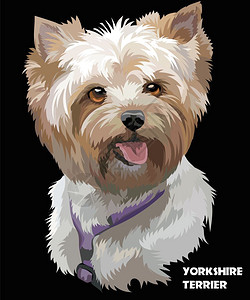 卡通可爱的狗肖像图图片