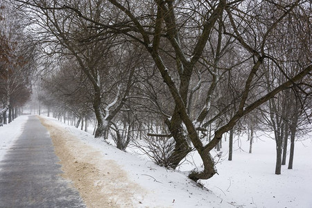 下雪时在公园的小巷里图片