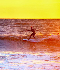 日落时冲浪在海洋中图片