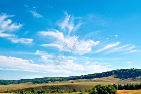 山丘蓝天空和白云上的树木图片