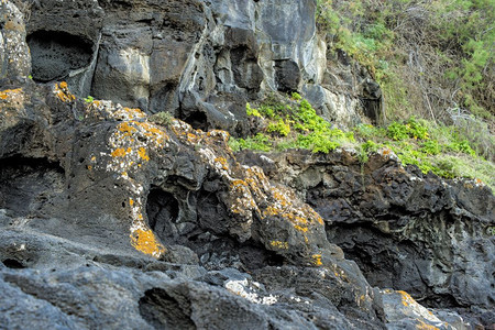 特纳里夫火山海岸图片