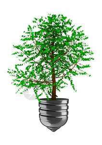 绿色能源概念的树灯泡能源概念图片