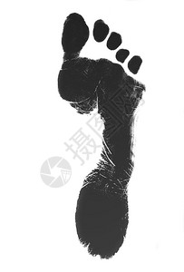 白色背景上孤立的人类脚印图片