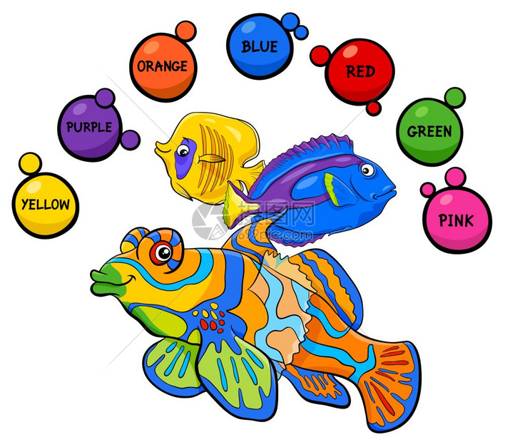 丰富多彩鱼类儿童彩色教育插图图片