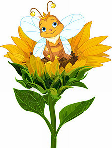 可爱的蜂后坐在向日葵上图片