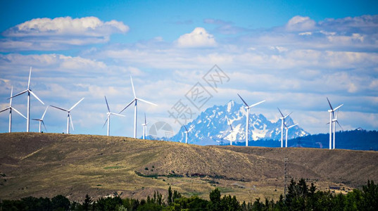 风力涡轮机养殖场背景中有小山图片