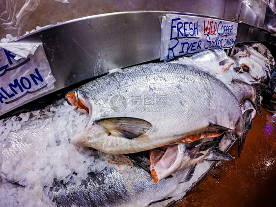 冰上鲜鱼在海壶的码头市场出售图片