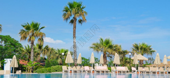 户外游泳池棕榈树和阳光浴的舒适地区图片