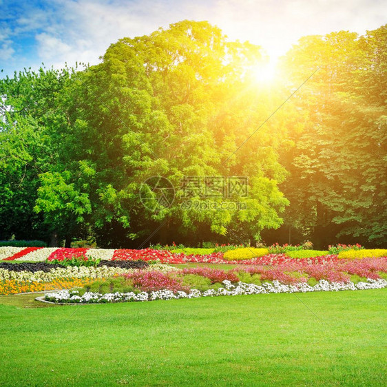夏季公园有美丽的花床图片