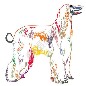 白色背景上的狗狗矢量孤立插图图片