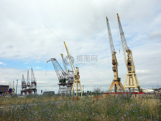 在市中心附近的蚂蚁港存放起重机和夏花图片