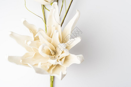 优雅的春花假朵在生锈木制桌子上婚礼背景图像图片