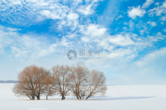 雪中覆盖的田地和树木图片