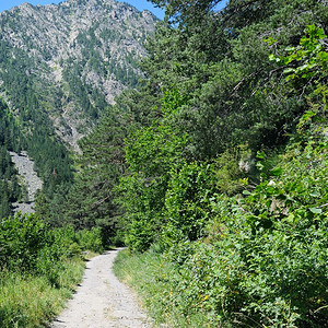 在夏日阳光下穿过山区森林坡地的步行足迹以观察风景和的远处山峰和脉图片