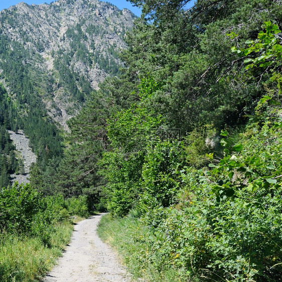 在夏日阳光下穿过山区森林坡地的步行足迹以观察风景和的远处山峰和脉图片