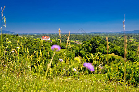 西基塔台城堡和Zagorje绿色风景croati图片