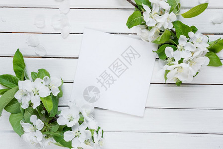 婚礼或家庭照片专辑的剪贴页上面有复制空间白花框和浅木本绿色叶子顶部视图平板面顶部视图图片