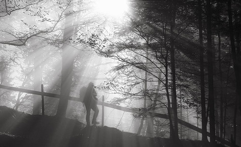 黑色和白的图像上面有一个人在树林里徒步旅行的轮廓用阳光照亮的痕迹片显示影子和光的强烈反差图片