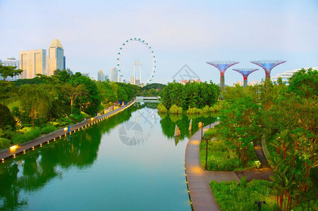 海湾旁的花园热带公和背景的幼虫传单图片