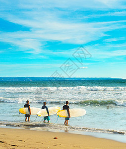 一群冲浪者在海滩上图片