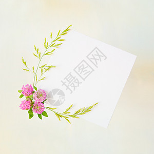 婚礼或家庭相册的剪布页旧黄纸背景上带有粉三叶和绿色蓝草的框顶视平躺图片