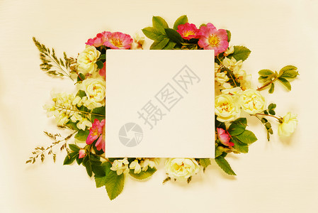 婚礼或家庭相册的剪布页野玫瑰白花和浅木背景的绿叶顶视平铺高刻图图片