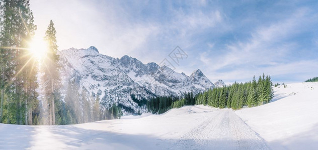 寒冷的冬季景象满是积雪的山峰绿林和一条穿过厚层雪的公路在十月太阳下在奥斯特里亚的厄尔瓦德背景